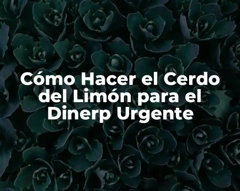Cómo Hacer el Cerdo del Limón para el Dinerp Urgente