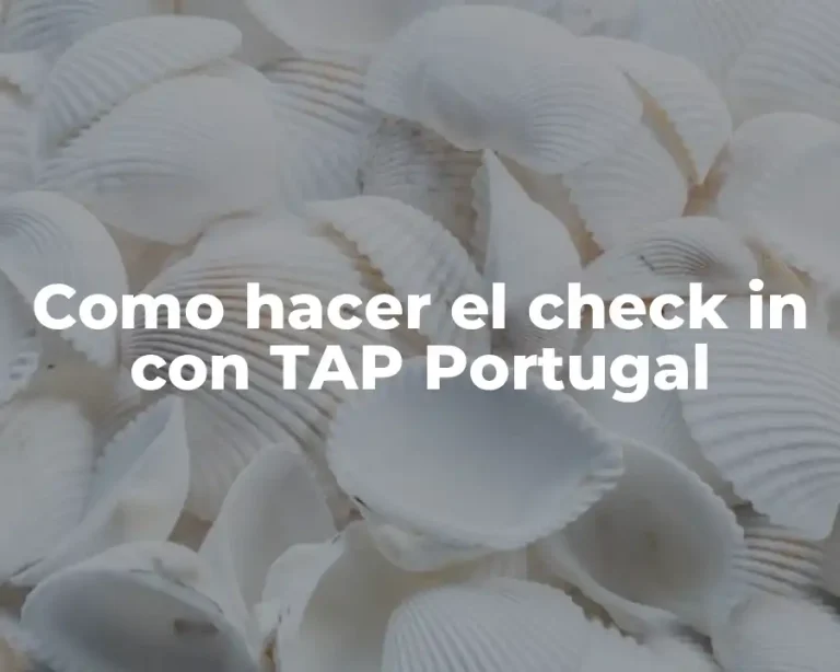 Como hacer el check in con TAP Portugal
