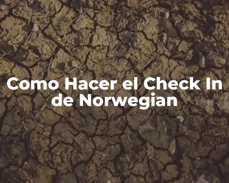 Como Hacer el Check In de Norwegian