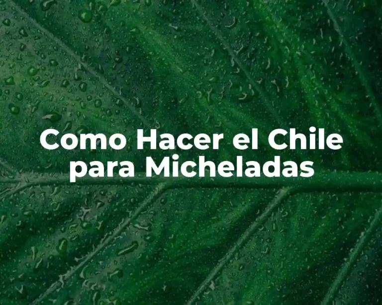 Como Hacer el Chile para Micheladas