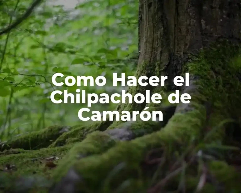 Como Hacer el Chilpachole de Camarón