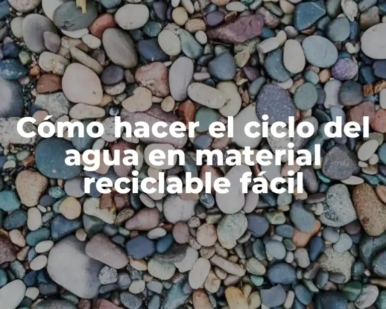 Cómo hacer el ciclo del agua en material reciclable fácil
