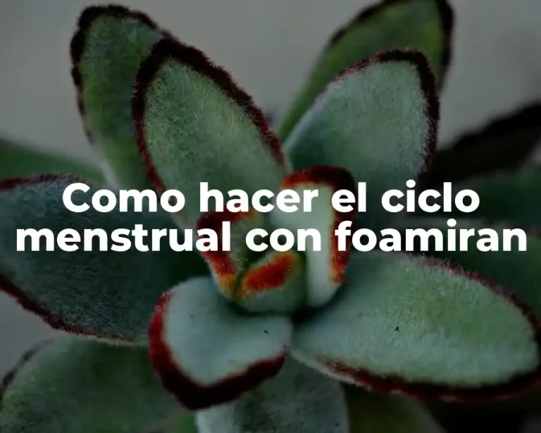 Como hacer el ciclo menstrual con foamiran