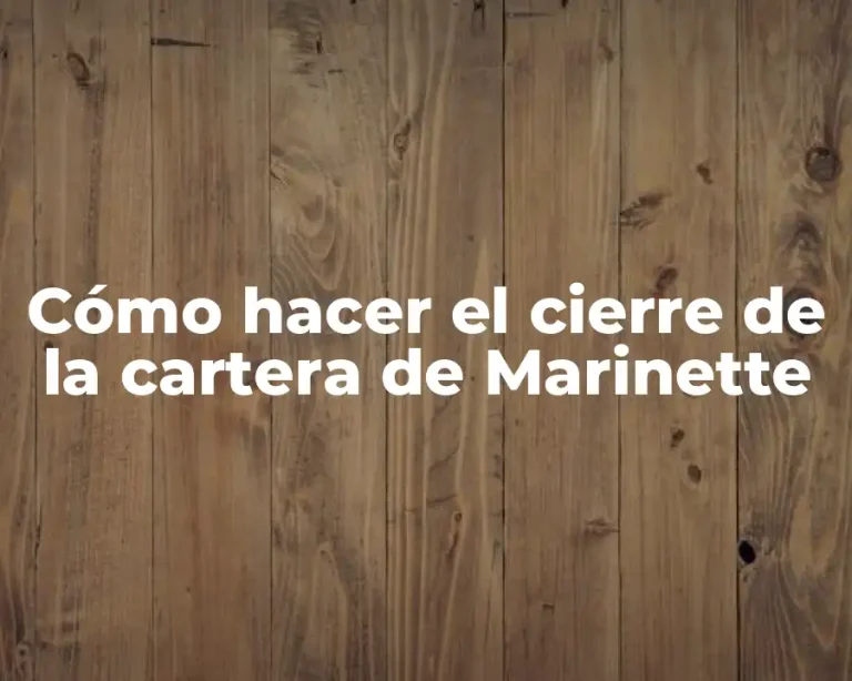 Cómo hacer el cierre de la cartera de Marinette