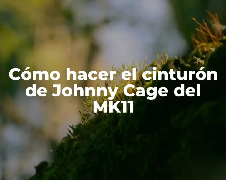 Cómo hacer el cinturón de Johnny Cage del MK11