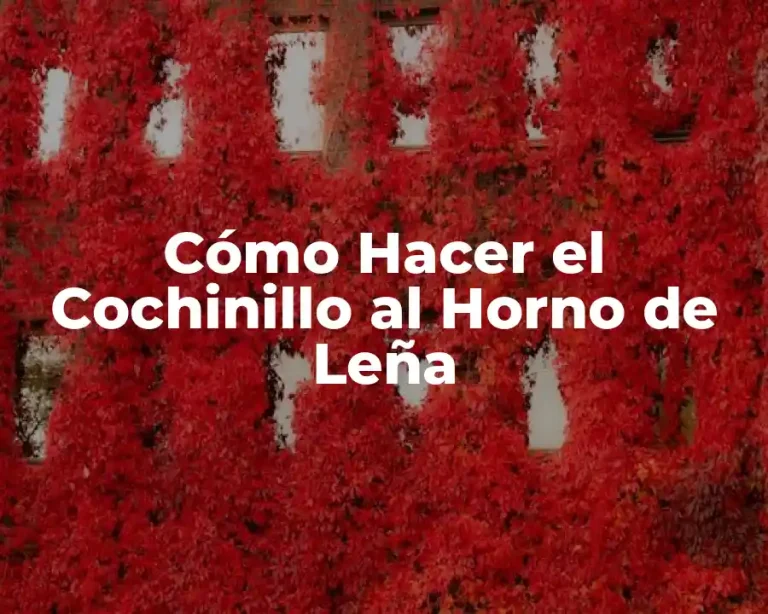 Cómo Hacer el Cochinillo al Horno de Leña