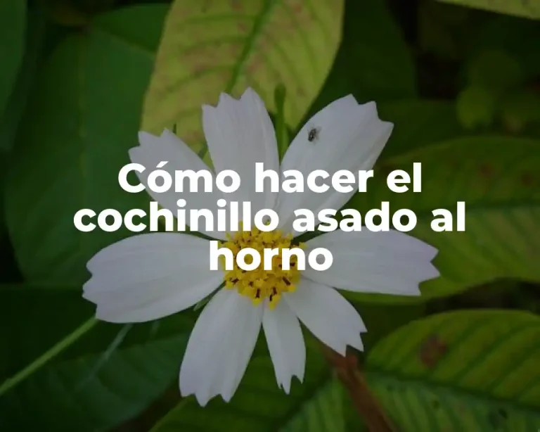 Cómo hacer el cochinillo asado al horno