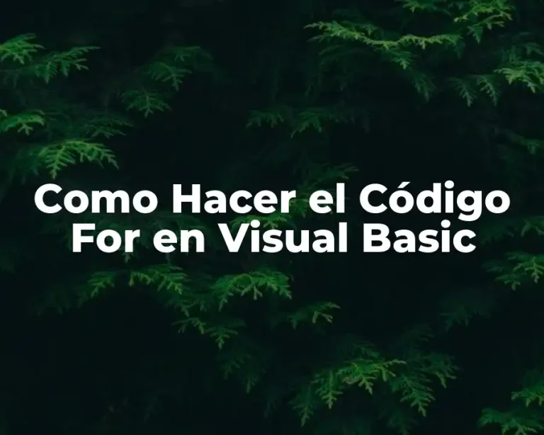 Como Hacer el Código For en Visual Basic