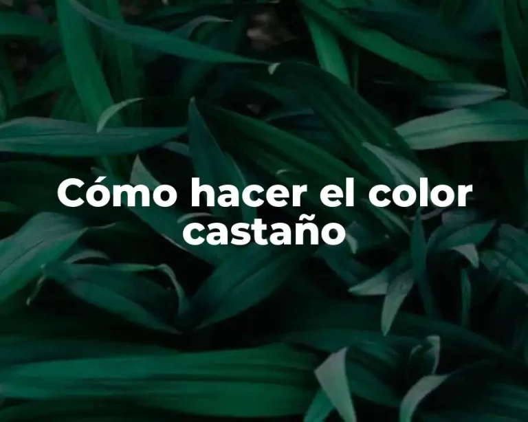 Cómo hacer el color castaño