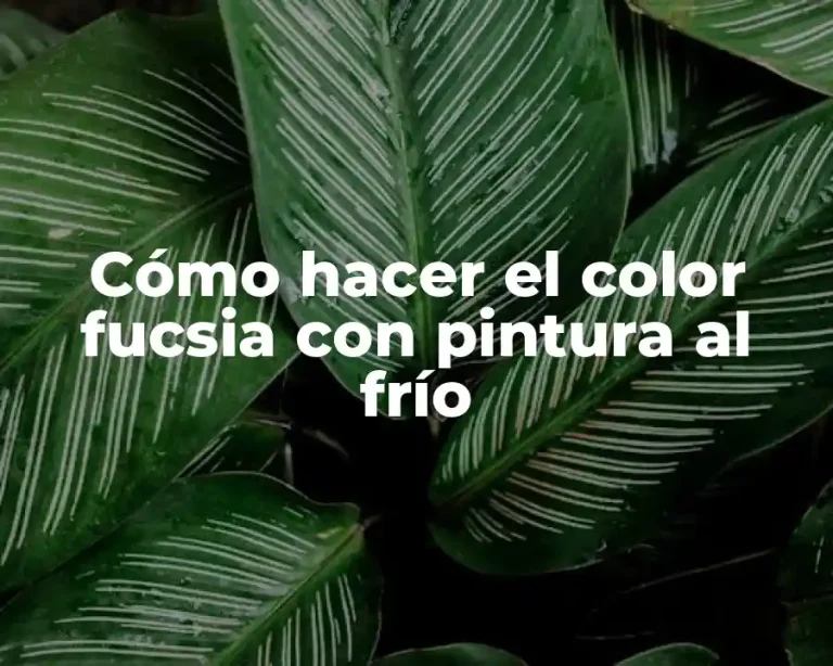 Cómo hacer el color fucsia con pintura al frío