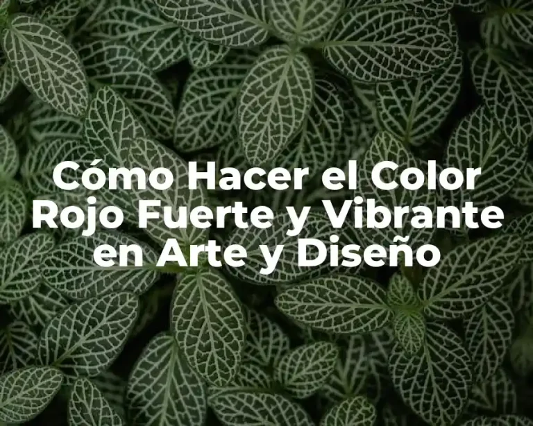 Cómo Hacer el Color Rojo Fuerte y Vibrante en Arte y Diseño