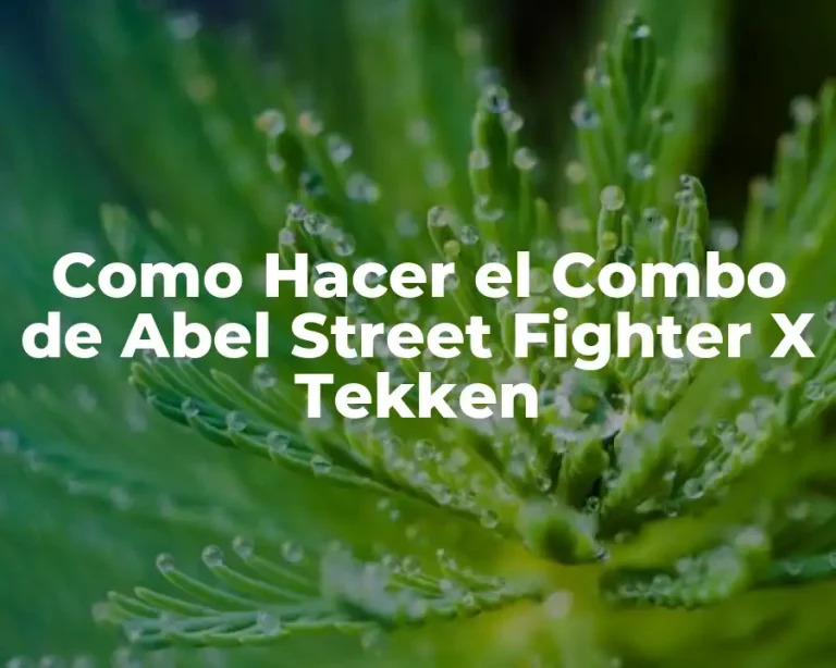 Como Hacer el Combo de Abel Street Fighter X Tekken