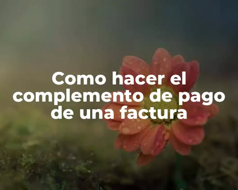 Como hacer el complemento de pago de una factura