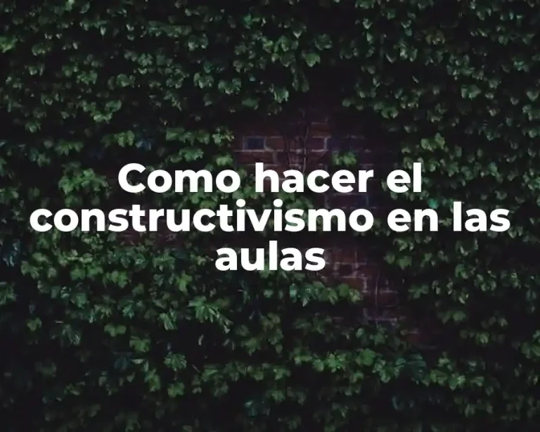 Como hacer el constructivismo en las aulas