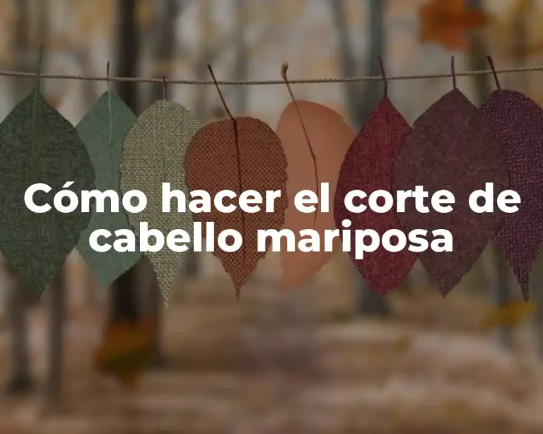 Cómo hacer el corte de cabello mariposa
