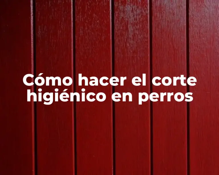 Cómo hacer el corte higiénico en perros