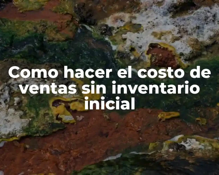 Como hacer el costo de ventas sin inventario inicial