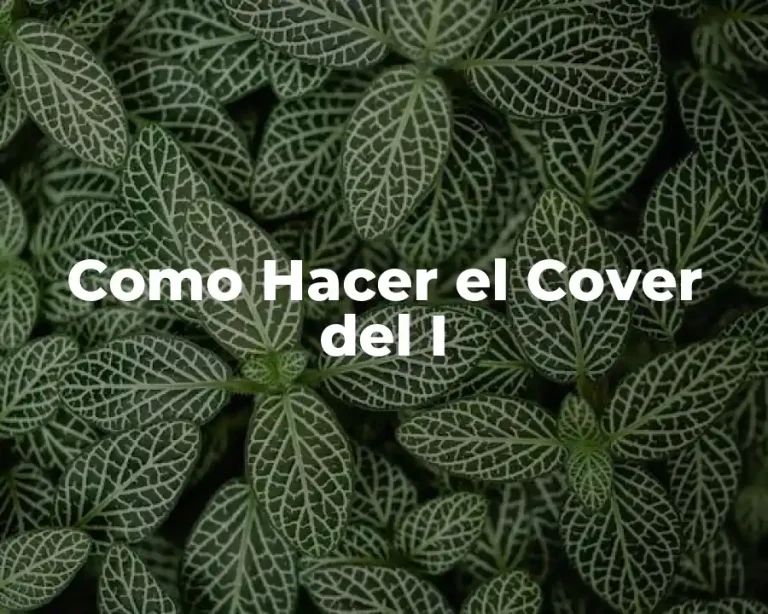 Como Hacer el Cover del I
