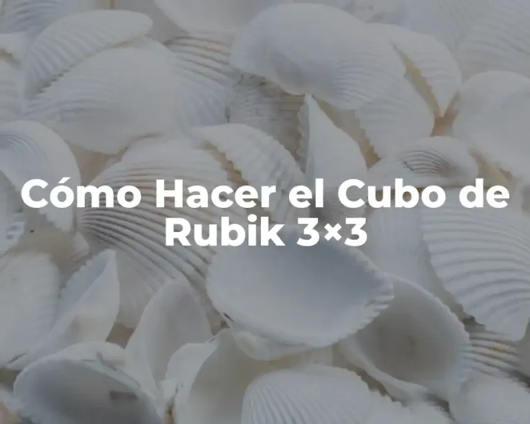 Cómo Hacer el Cubo de Rubik 3×3