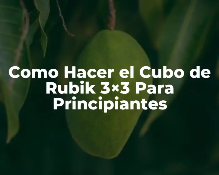 Como Hacer el Cubo de Rubik 3×3 Para Principiantes