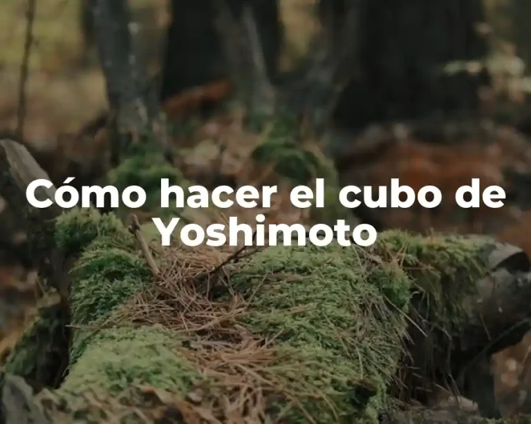 Cómo hacer el cubo de Yoshimoto