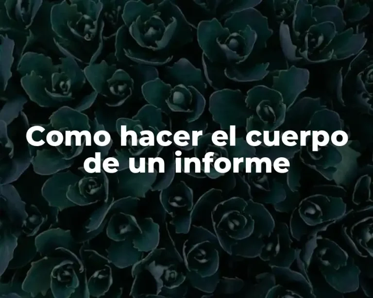 Como hacer el cuerpo de un informe
