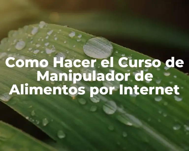 Como Hacer el Curso de Manipulador de Alimentos por Internet