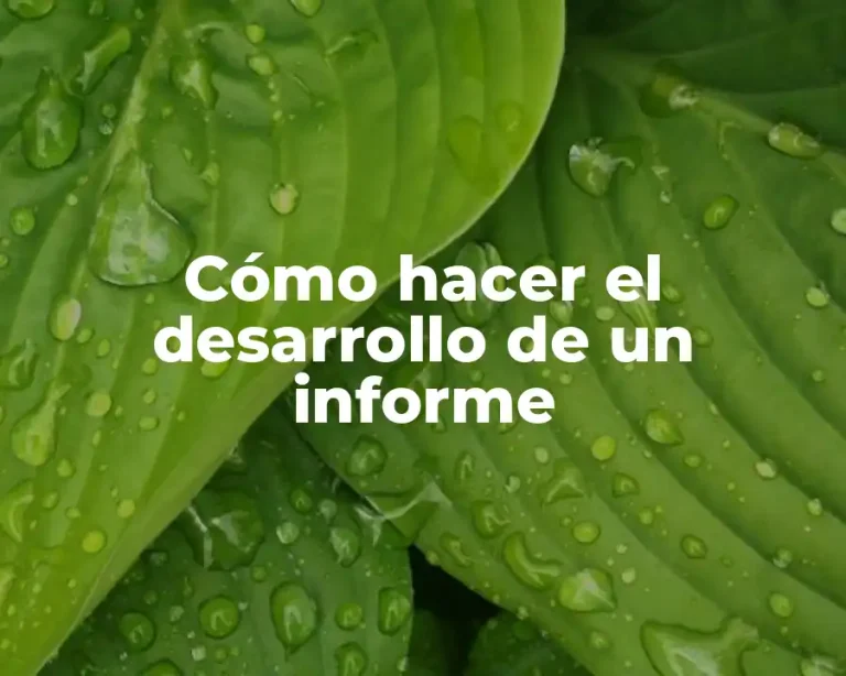 Cómo hacer el desarrollo de un informe
