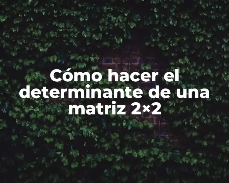Cómo hacer el determinante de una matriz 2×2