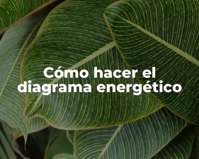 Cómo hacer el diagrama energético