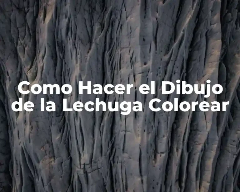 Como Hacer el Dibujo de la Lechuga Colorear