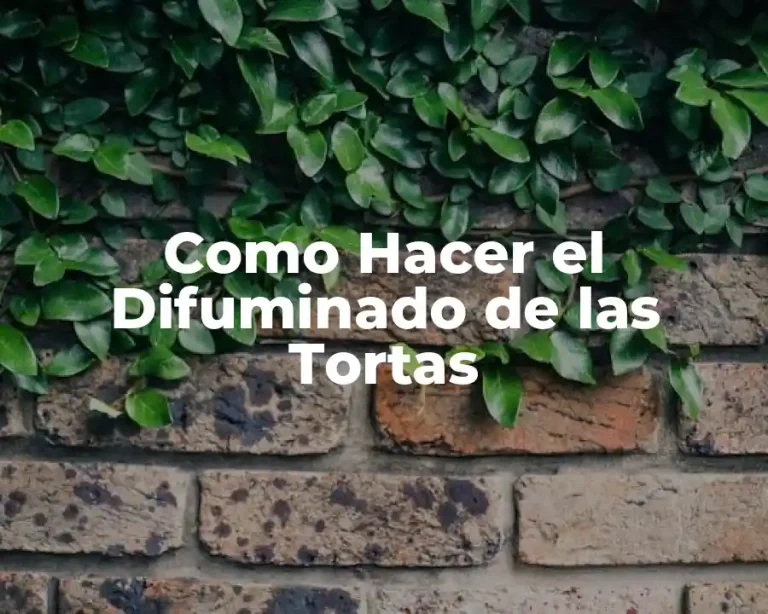 Como Hacer el Difuminado de las Tortas