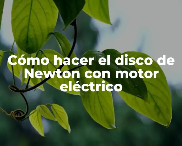Cómo hacer el disco de Newton con motor eléctrico