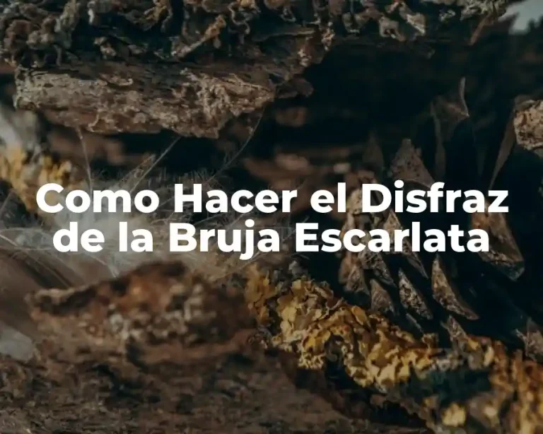 Como Hacer el Disfraz de la Bruja Escarlata