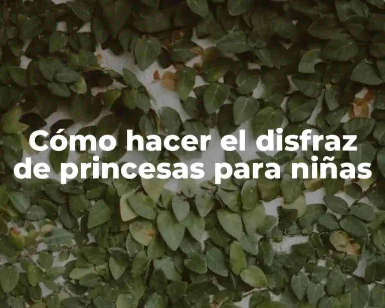 Cómo hacer el disfraz de princesas para niñas