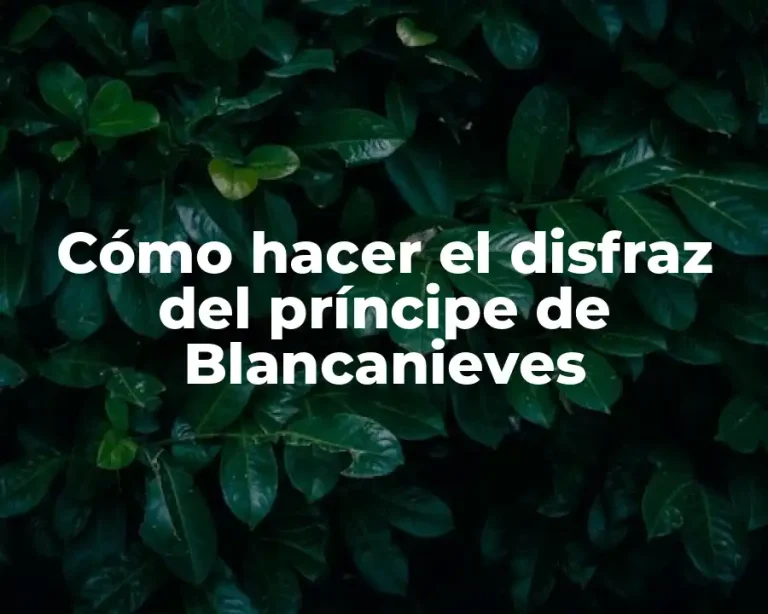 Cómo hacer el disfraz del príncipe de Blancanieves