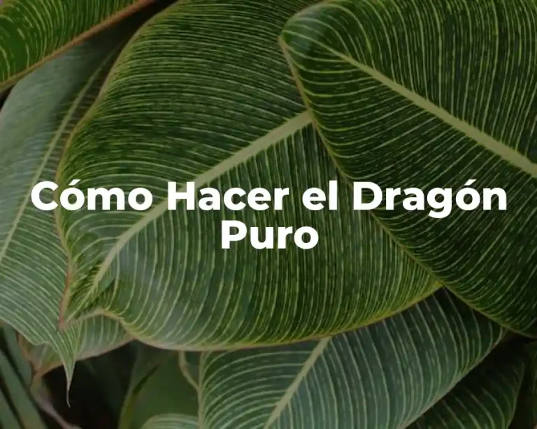 Cómo Hacer el Dragón Puro