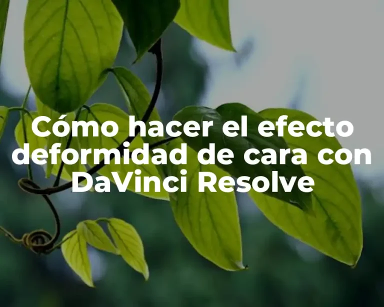 Cómo hacer el efecto deformidad de cara con DaVinci Resolve
