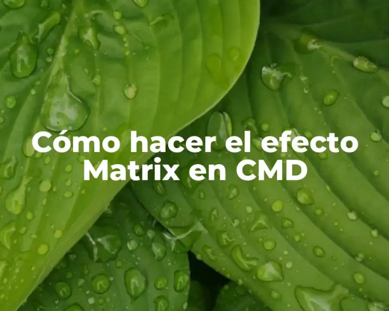 Cómo hacer el efecto Matrix en CMD