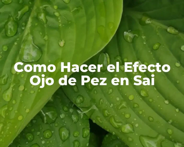 Como Hacer el Efecto Ojo de Pez en Sai