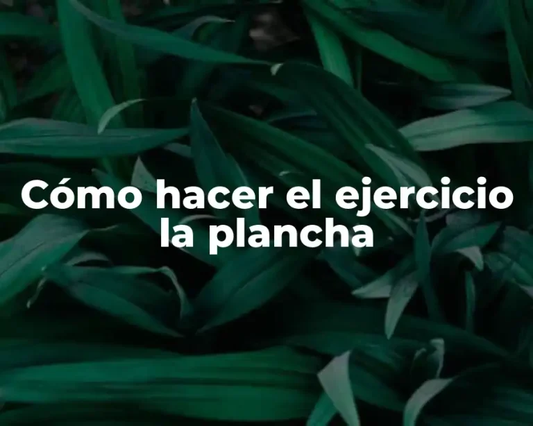 Cómo hacer el ejercicio la plancha