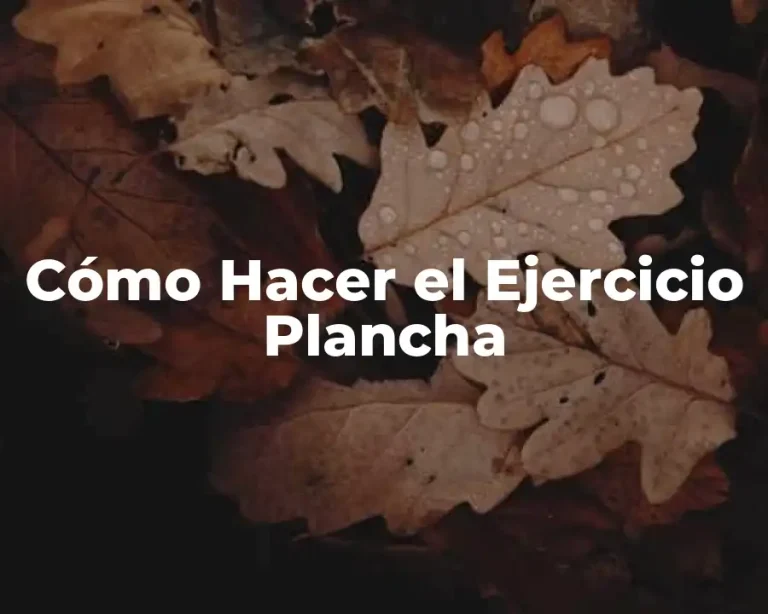 Cómo Hacer el Ejercicio Plancha
