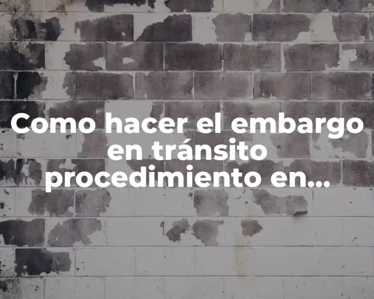 Como hacer el embargo en tránsito procedimiento en Bolivia