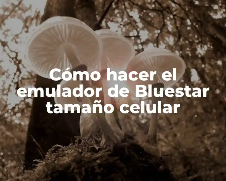Cómo hacer el emulador de Bluestar tamaño celular
