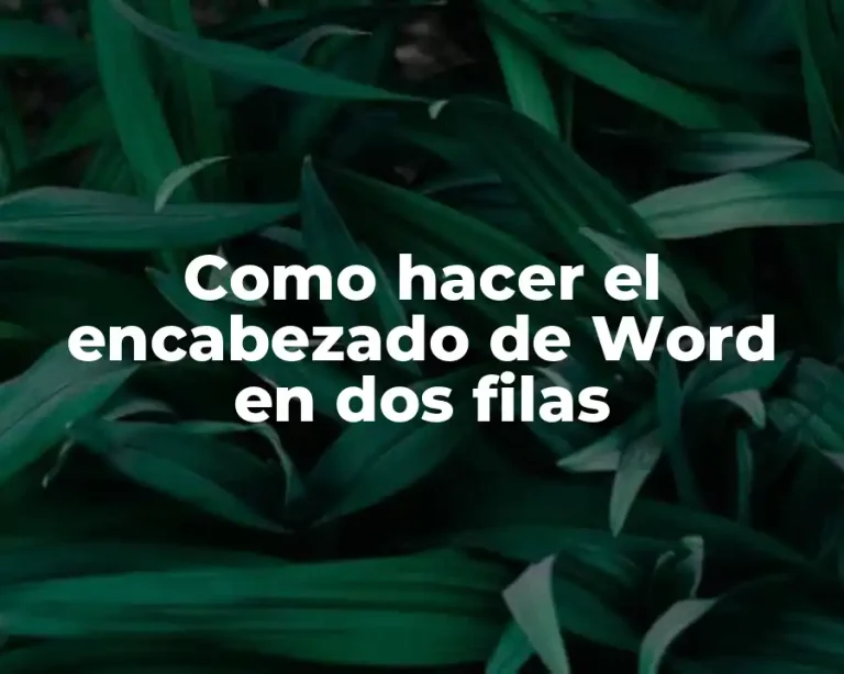 Como hacer el encabezado de Word en dos filas