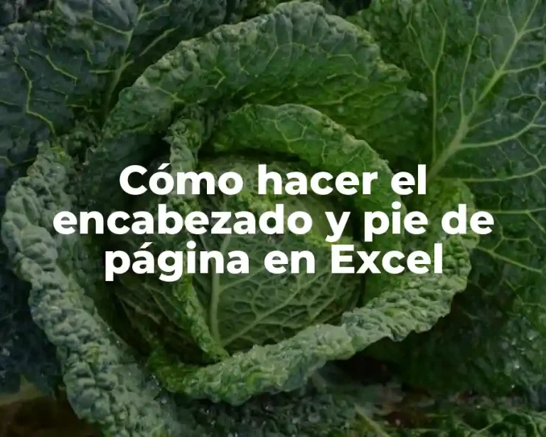 Cómo hacer el encabezado y pie de página en Excel