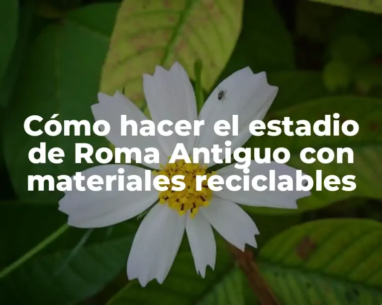 Cómo hacer el estadio de Roma Antiguo con materiales reciclables