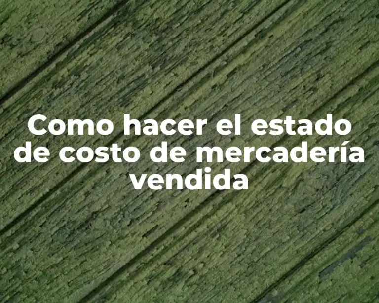 Como hacer el estado de costo de mercadería vendida