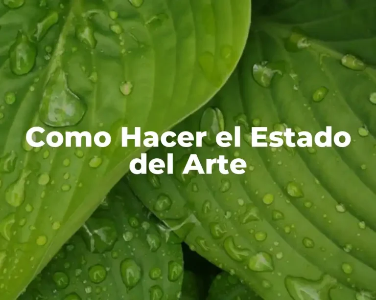 Como Hacer el Estado del Arte
