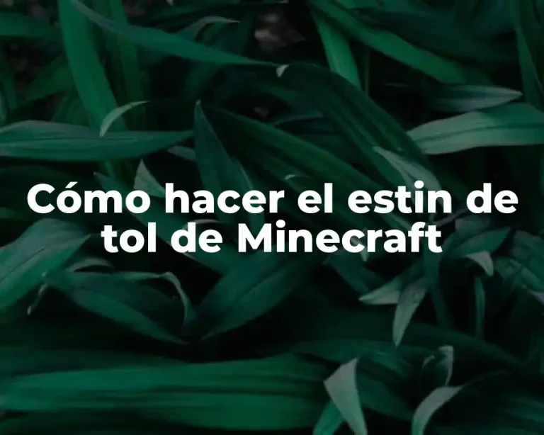 Cómo hacer el estin de tol de Minecraft